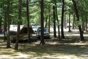 Camping Rental Services in Baldwin, MI