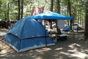 Camping Sites in Baldwin, MI