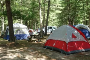 Tent Camping Services in Baldwin, MI