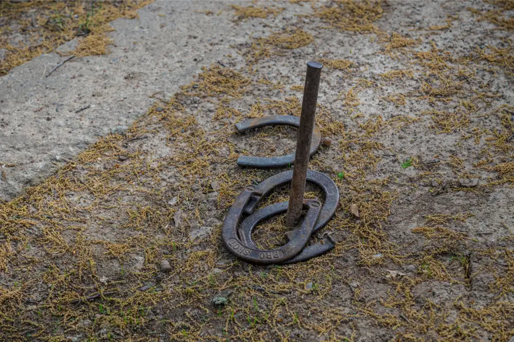 Activities Like Horseshoes