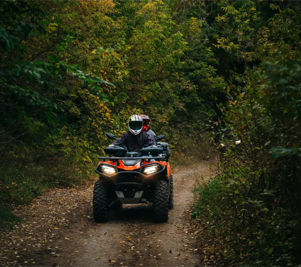 Atv Through Forest