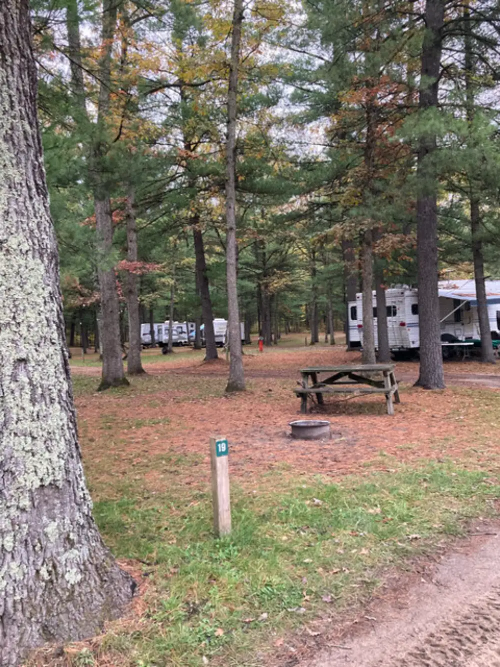 Picnic Table And Fire Pit